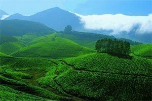 Munnar Devikulam