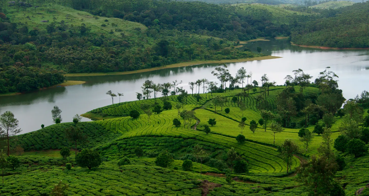 Munnar sightseeing 