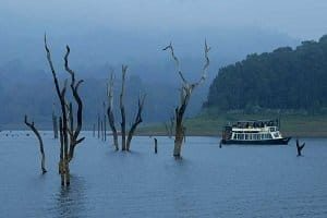 Thekkady Sightseeing