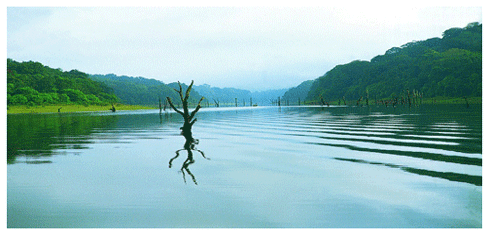 Kerala Taxi Packages