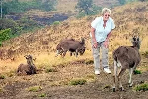 Eravikulam National Park