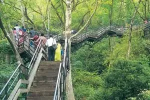 Ecotourism in Kerala