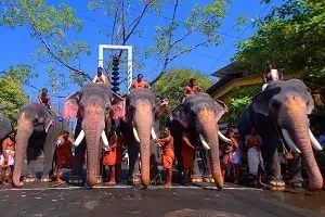 Guruvayur Elephant Race
