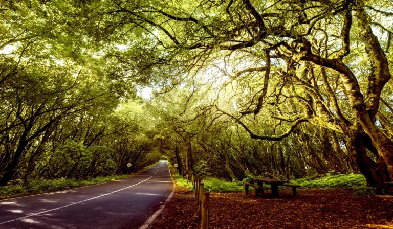 Scenic road way to valparai
