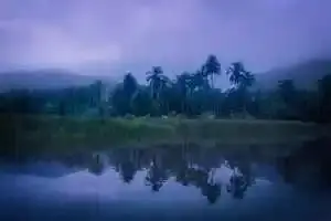 Kerala during Monsoon