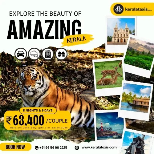 Amazing Kerala Tour